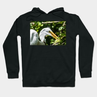 Great white egret in wildlife preserve Hoodie